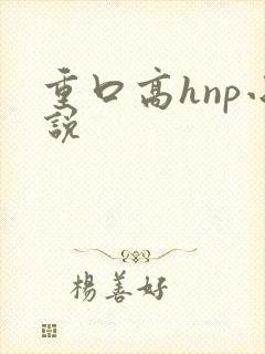 重口高hnp小说