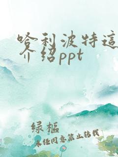 哈利波特这本书介绍ppt