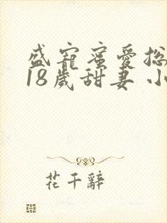 盛宠蜜爱总裁的18岁甜妻 小说