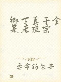 乡下真千金,竟是老祖宗