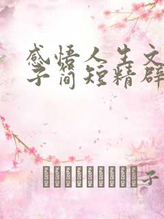 感悟人生文案句子简短精辟