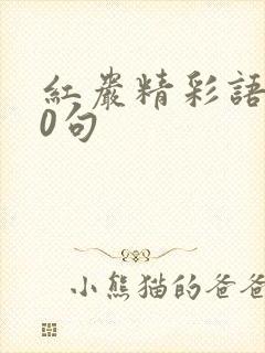 红岩精彩语句30句