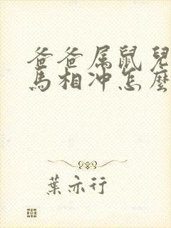 爸爸属鼠儿子属马相冲怎么办