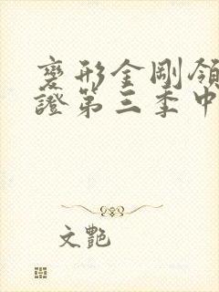 变形金刚领袖之证第三季中文版