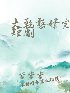 大乾憨婿完结篇短剧