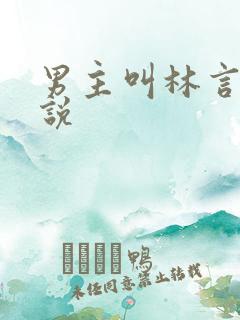 男主叫林言的小说