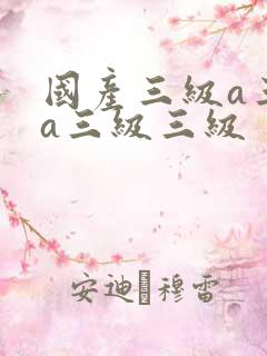 国产三级a三级a三级三级