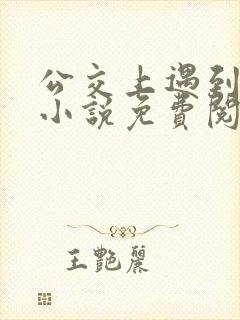 公交上遇到张姨小说免费阅读