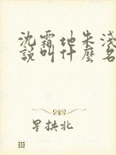 沈霜地朱浅云小说叫什么名字