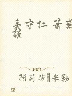 秦守仁 萧燕小说