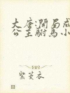 大唐:开局成了公主驸马小说免费听书