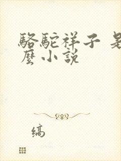 骆驼祥子 是什么小说
