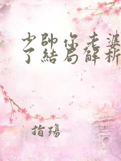 少帅你老婆又跑了结局解析