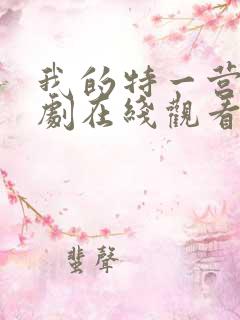 我的特一营电视剧在线观看