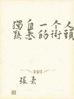 独自一个人走在熟悉的街头是什么歌