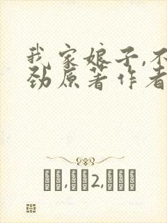 我家娘子,不对劲原著作者