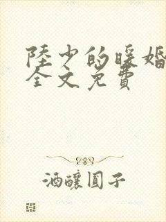 陆少的暖婚新妻全文免费