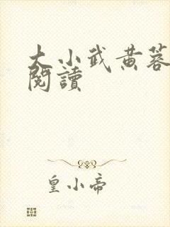 大小武黄蓉免费阅读