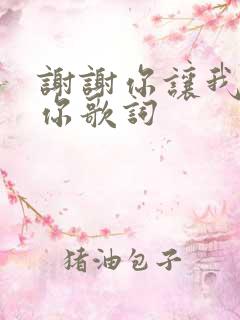 谢谢你让我遇见你歌词