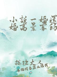 小说一婚还比一婚高晨雾的光
