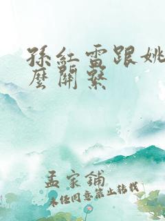孙红雷跟姚晨什么关系