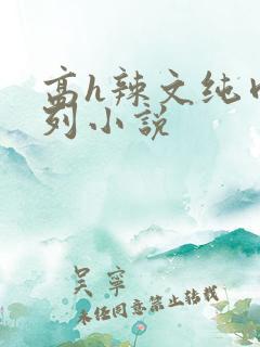 高h辣文纯肉系列小说