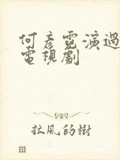 何彦霓演过哪些电视剧