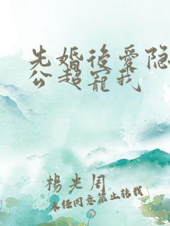 先婚后爱隐婚老公超宠我