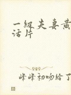 一级夫妻黄色生活片