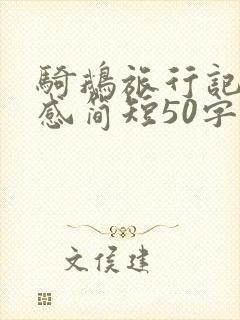 骑鹅旅行记读后感简短50字