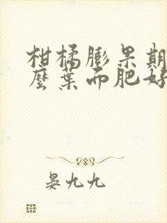 柑橘膨果期用什么叶面肥好