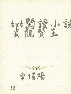 txt阅读小说贞观贤王