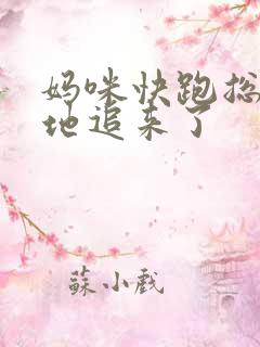 妈咪快跑总裁爹地追来了