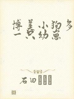 博美小狗多少钱一只幼崽 博美小狗多少钱一只幼崽