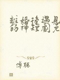 离婚后遇见心软的神短剧免费观看 离婚后遇见心软的神短剧免费观看