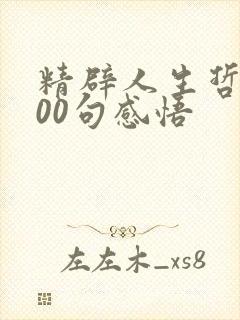 精辟人生哲理100句感悟