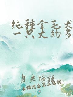 纯种金毛犬幼犬一只大约多少钱