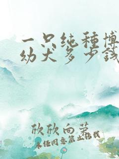 一只纯种博美犬幼犬多少钱
