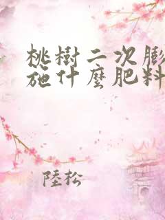 桃树二次膨大期施什么肥料好