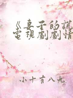 《妻子的谎言》电视剧剧情免费观看 《妻子的谎言》电视剧剧情免费观看