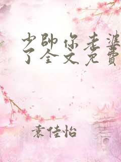少帅你老婆又跑了全文免费阅读小说