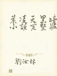 叶凌天黑暗之子小说完整版