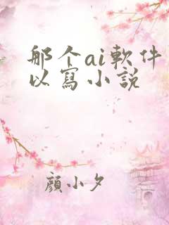 那个ai软件可以写小说