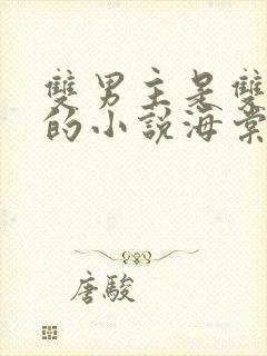 双男主是双胞胎的小说海棠文