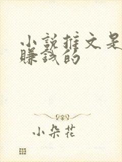 小说推文是怎么赚钱的