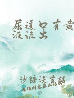 尿道口有黄色粘液流出