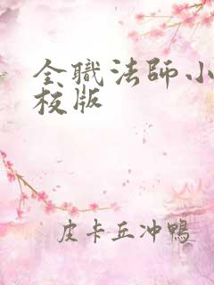 全职法师小说精校版