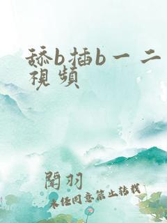舔b插b一二区视频