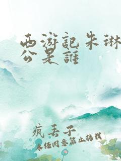 西游记朱琳的老公是谁