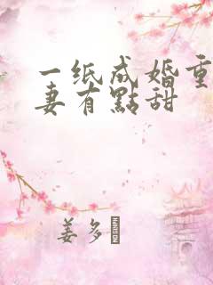 一纸成婚重生娇妻有点甜
